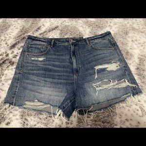American Eagle distressed shorts/ size 18